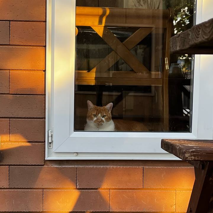 D24fb090 4f07 4dfe b32c 80ce40dac518 1728255589524