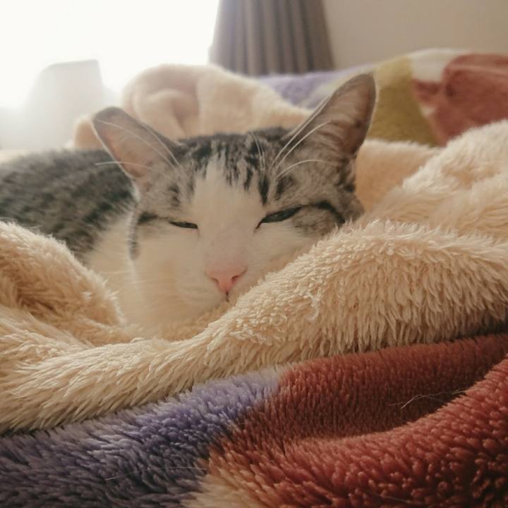 D24fc0ff bc4c 4341 8a94 c09f823a15ca 1547904113458