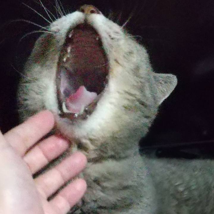 D24fe0bc 64d8 4a09 9e53 392b570dfbbf 1664723611292