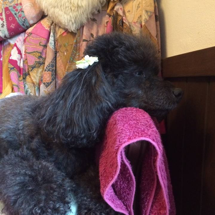 D24ff856 0a3e 4638 98ee 7ded2b321d57 1521608325092