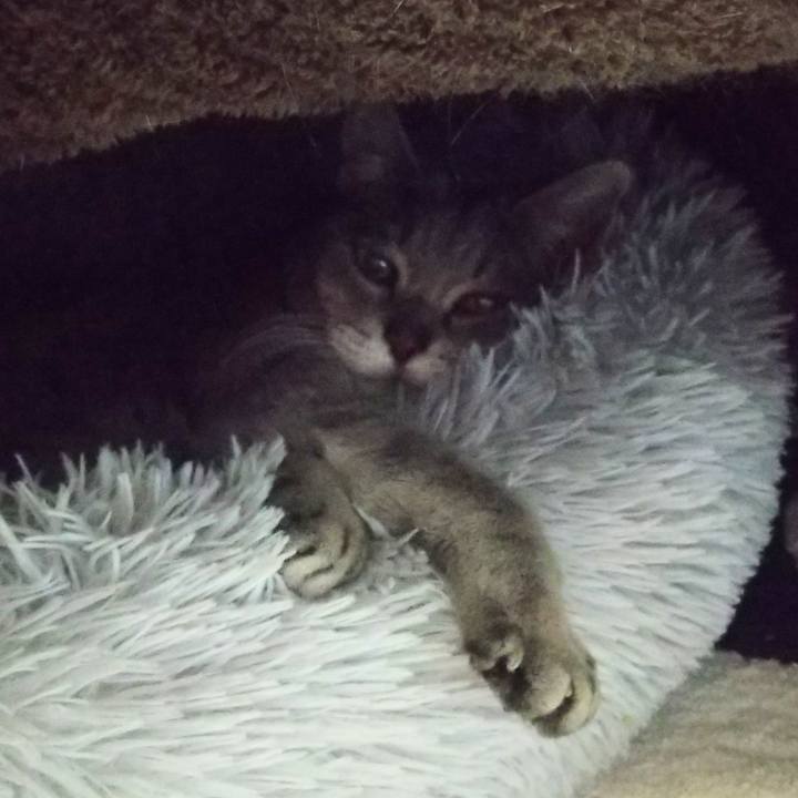 D25027bc 3add 4c90 bdbd f1b874fb7c13 1674298299560