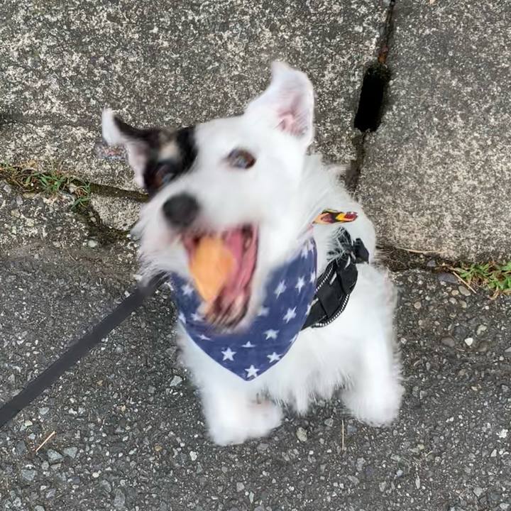 D2503971 5340 4df0 8a6a 1493842ad5bc 1722379755165