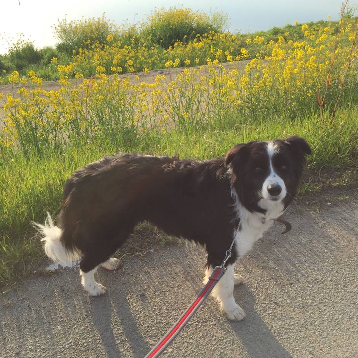 D250940e e2e2 476e 92e4 566ce1b2793f 1552516963610