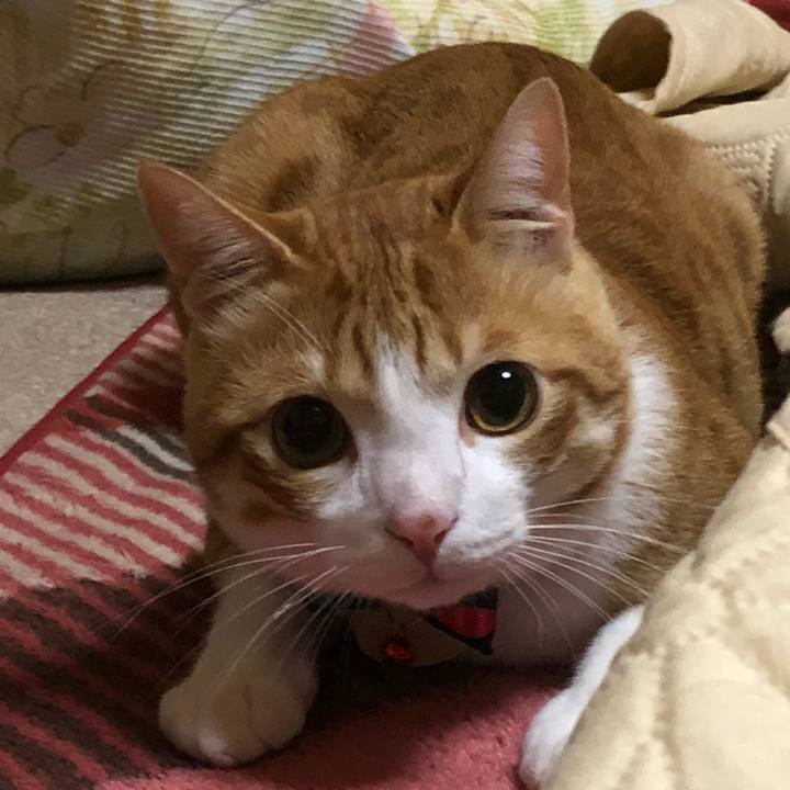 D250a397 00af 4c18 8afa 2287cef062c4 1514284080085