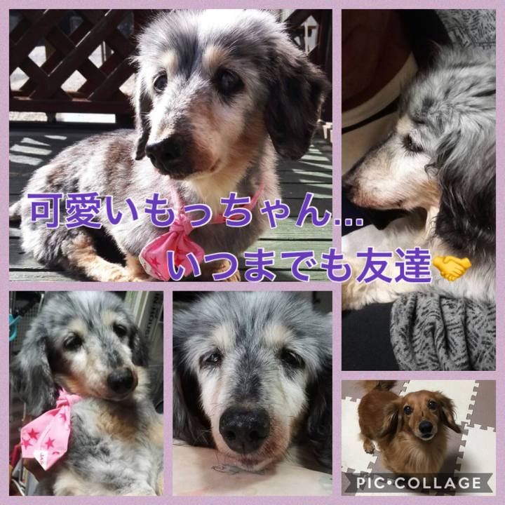 D250a4e7 ac2e 411c 9ecd 395deca1f6b7 1545972408273