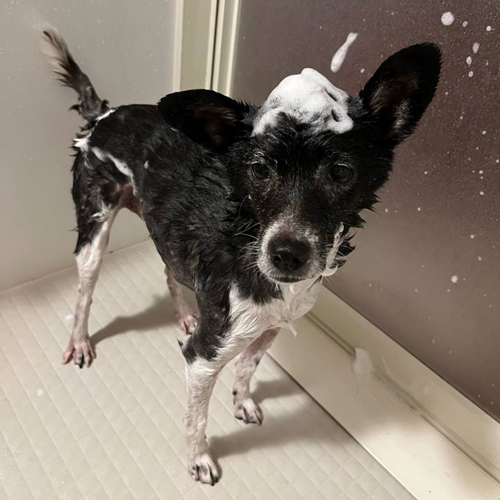 D250b07d 09d3 40db b4db b47db6a47461 1722855531679