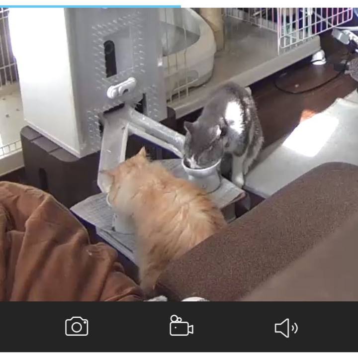 D250d6e3 3906 4349 9b24 45f81e5da7db 1684965781897