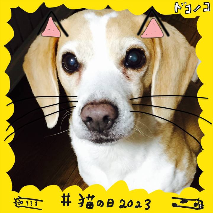 D250f45a 456e 486b a672 0afbf65baa7c 1677040199619