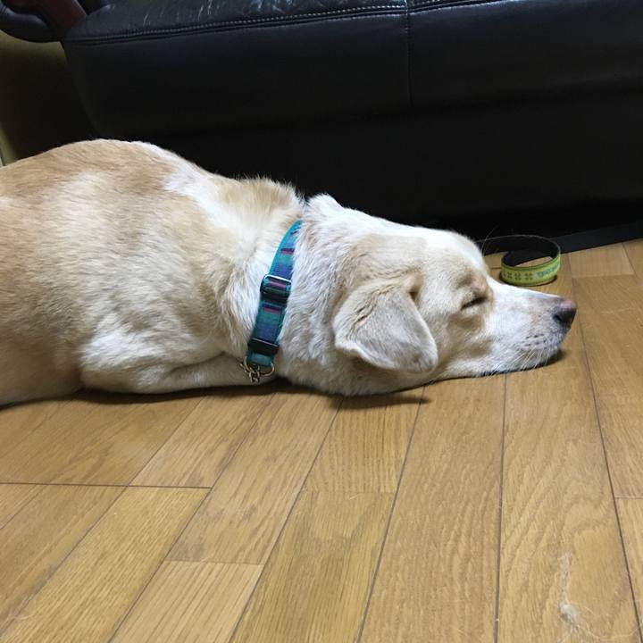 D250f7f0 7eae 476d 9d95 e9355ee7ff3c 1535724952345