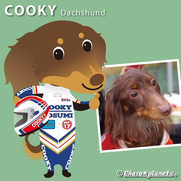 D2510658 23c2 4ba9 b9f4 1a460a4765ed 1568707975934