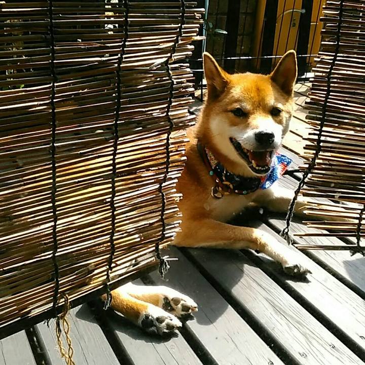 D2518c60 7127 4c75 bae6 ae4352767262 1535604169435