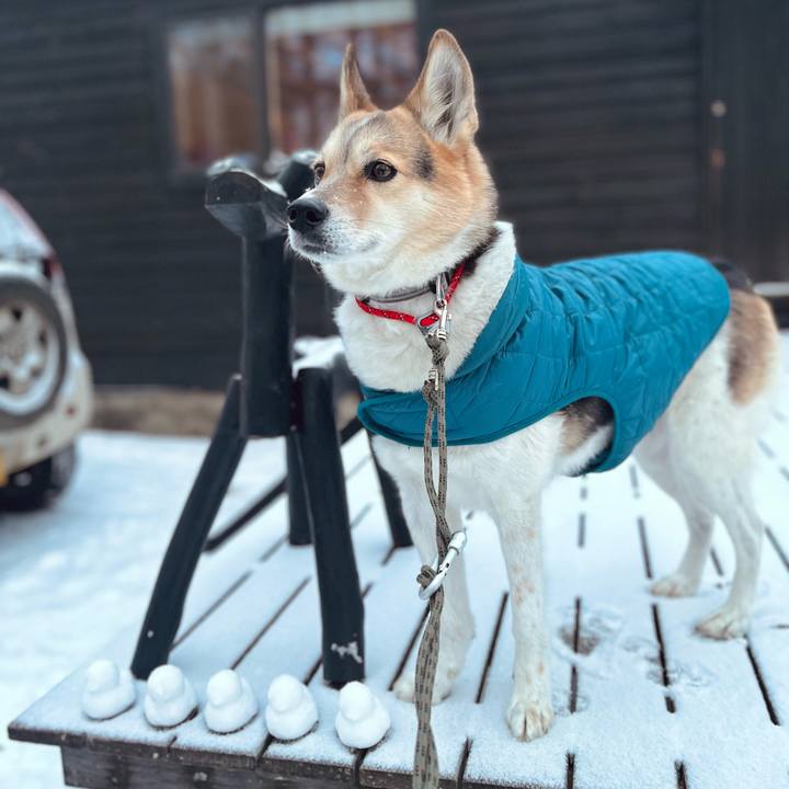 D251b215 6afa 4548 9d09 bb644ab596b1 1770539618186