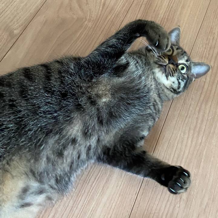 D2522001 4538 4e4c b604 e78f50f21968 1624793061204