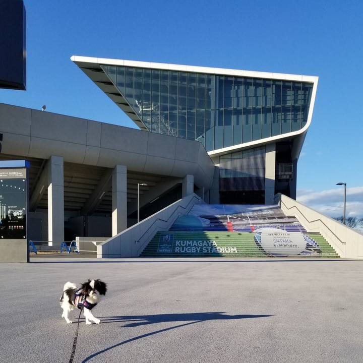 D2523ee8 24ee 49d3 99cd 14345032ba77 1638606457611