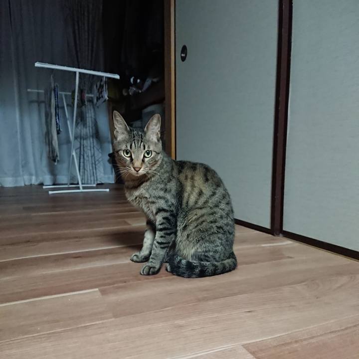 D2526395 5d44 4449 85df 460f18c8a37e 1527270631764