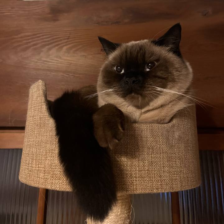 D25268ef 150a 4d1a a71a 7157c2996b9e 1636113366484