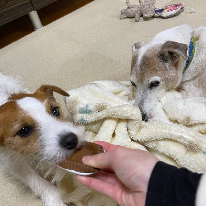 D252b59b f192 4e5a 84fa 3a9ade0b1ce3 1676786311643