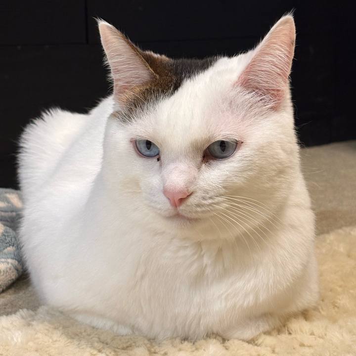 D252bbc1 c9d7 4a71 b1d3 df2fef5970f5 1767662541042