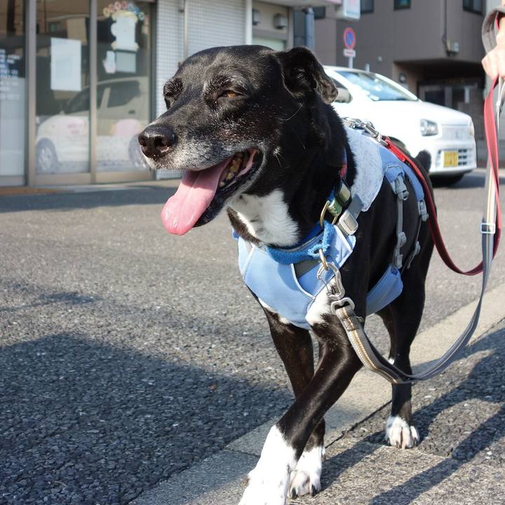 D252d251 c1a4 41bd 95fc 4b2d77354ad2 1722816743226