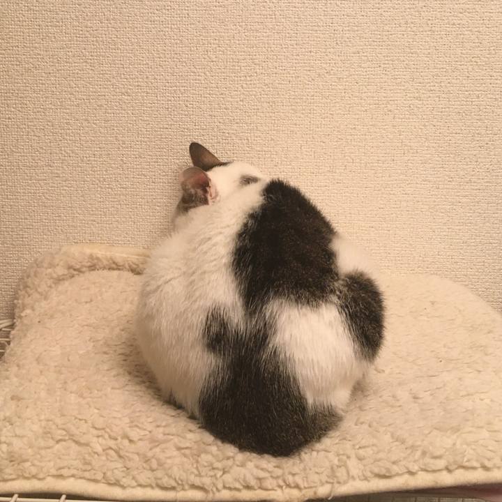 D25312de f334 4cb9 aaba 0e343ccc106d 1576689966728