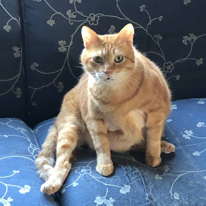 D253145f 7c67 4e17 ba99 df845ae49ac5 1630443671326