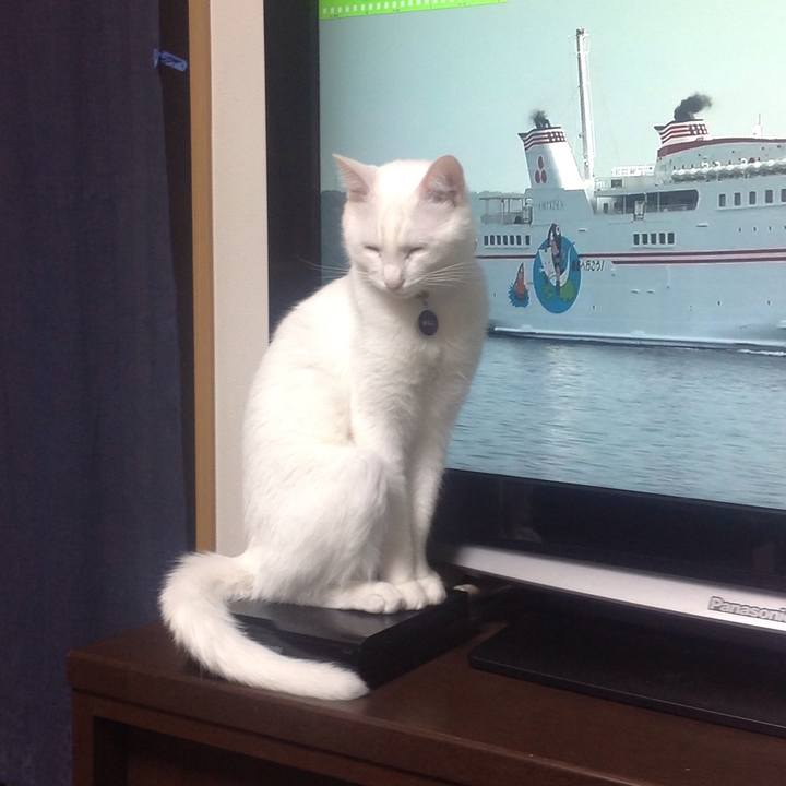 D253186b afab 41d1 af94 1f8993ad98b3 1639997349659