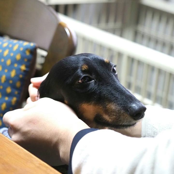 D2534b93 76b2 4cd6 8848 ed6aad058855 1547263189347