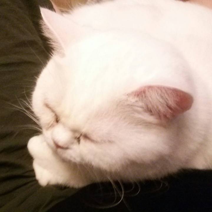 D25351eb 799e 462e 950b c563503eeade 1537132803604