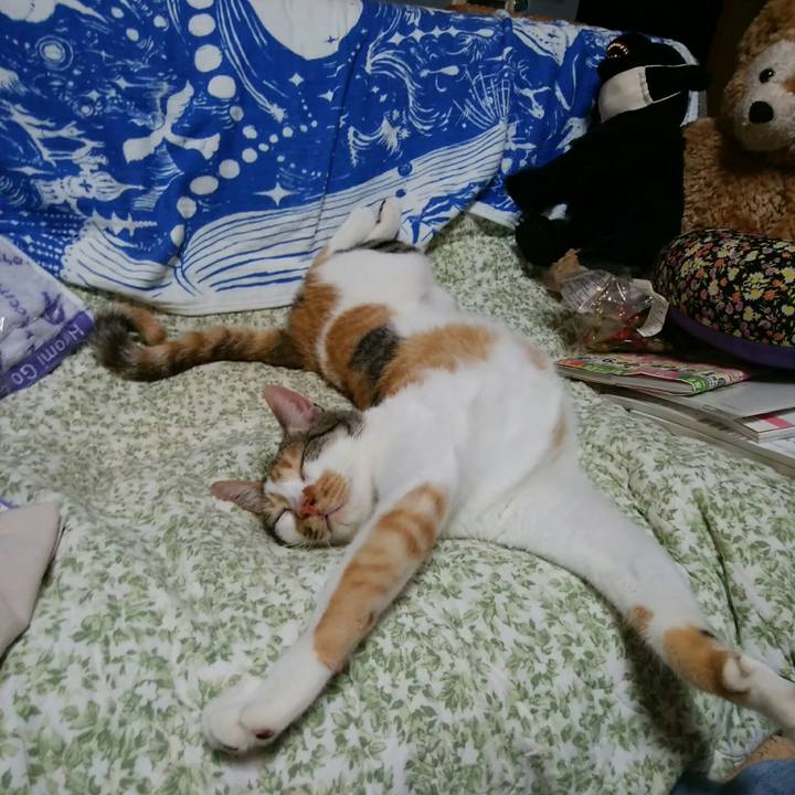 D253f001 b3d7 46ca b7b4 63eeaabc1218 1532169972469