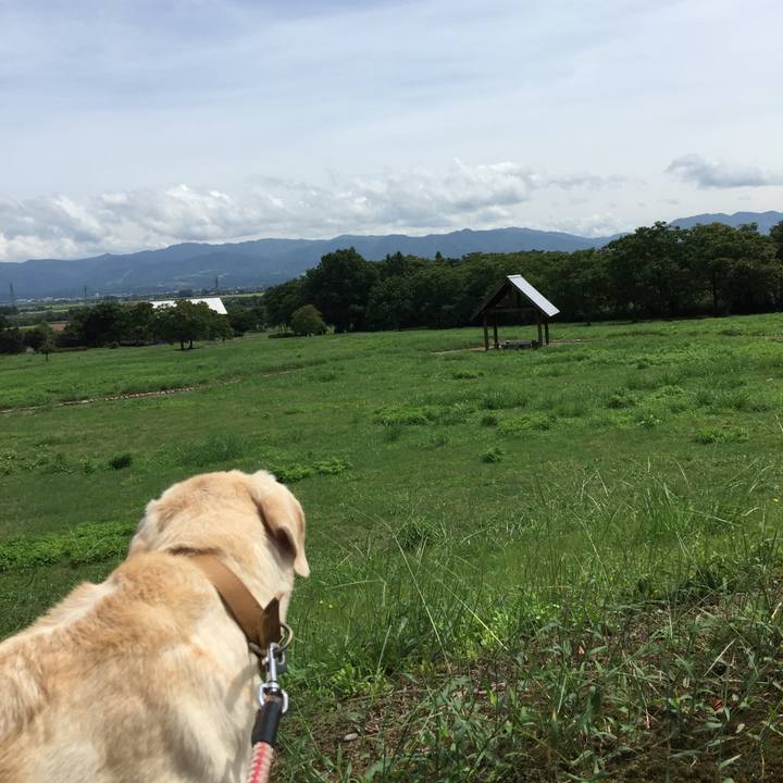 D2540e08 6511 4b4c bde4 3dadf58a61ce 1535859533080