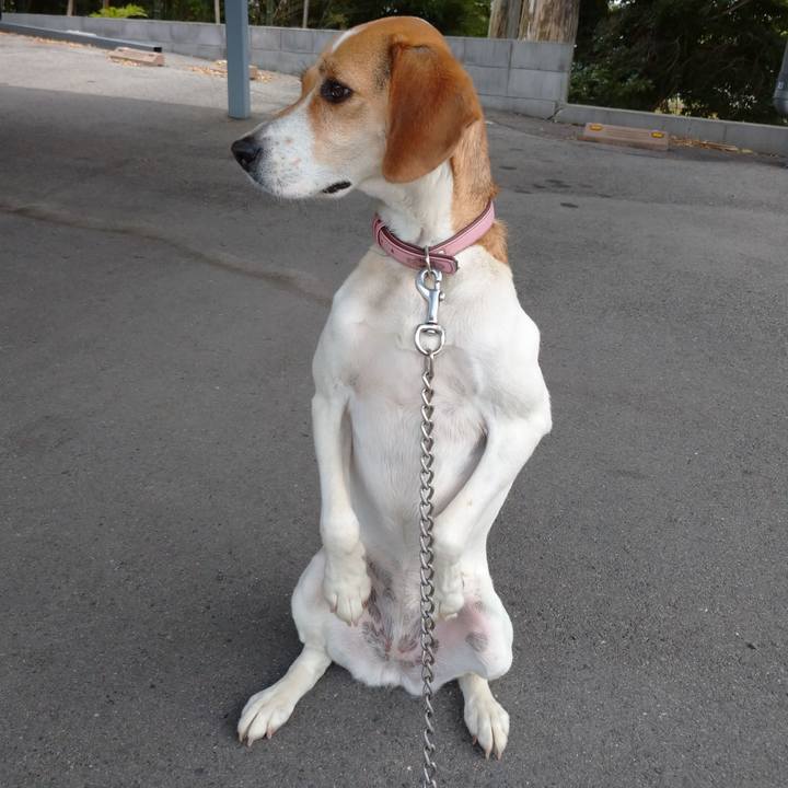 D25419f9 c6d1 4f62 b9d1 f1eeab21aaf1 1592196086580