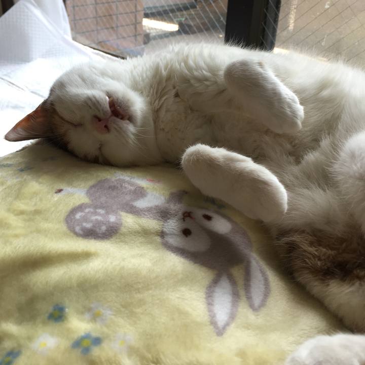 D254217a ef23 47d8 a093 8685eb437d93 1604549242587