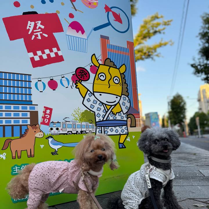 D2544430 5575 4686 b33c 64879d4fa8fc 1754005208839