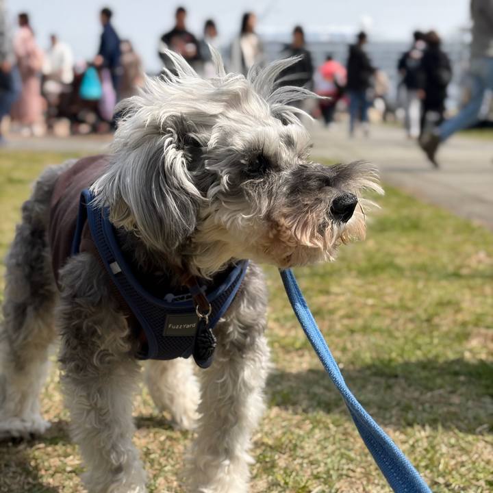 D254544f edd6 4505 9c52 770674bff46b 1774163007796