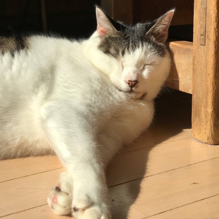 D2547f71 31b5 4c1d bba6 eb480f8e5a5b 1509960615039