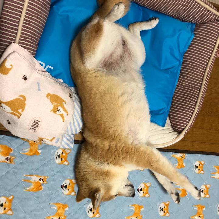 D2549516 03f1 4b15 a367 a6a9c6a30225 1591248319847