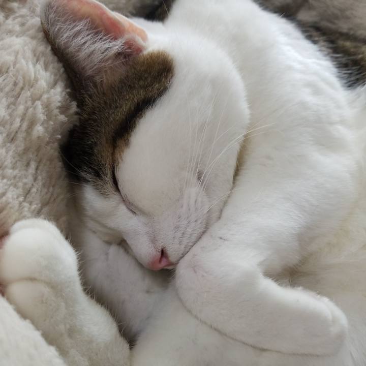 D254ac42 8db2 439a b550 22de1d6d0235 1571446279810