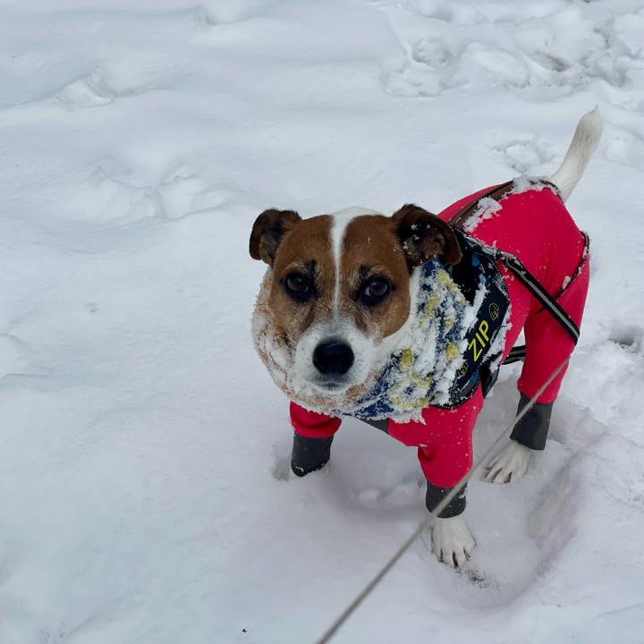 D254b27b cadc 41c1 a407 9d1bfd5c47db 1740003038532