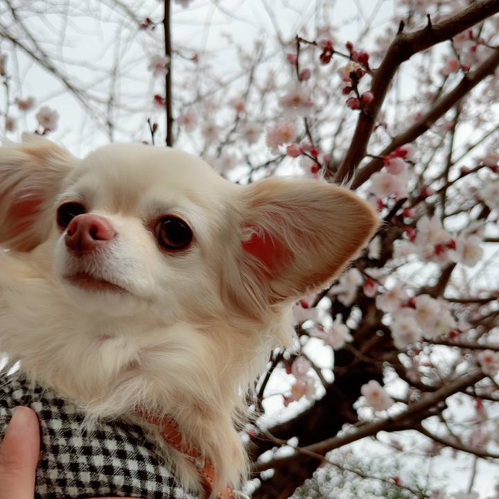 D254bb1c d15c 4b71 8627 1f17c9268fcc 1709197448028