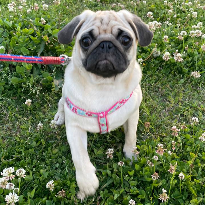 D254bbdf 7338 4b78 af44 51d26eb2a39d 1619521586834