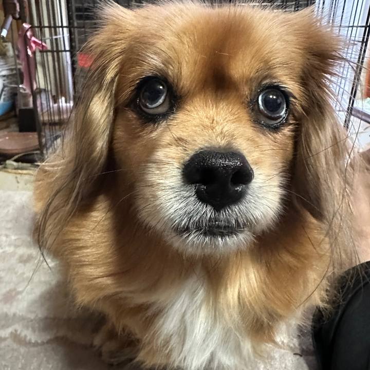 D254c775 572a 42e5 8626 977a73ed5840 1705104859941