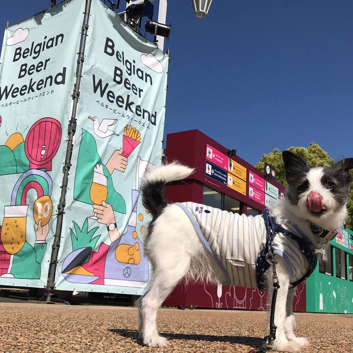 D255109f aafa 4afc b1b5 945651373b3f 1557311885342