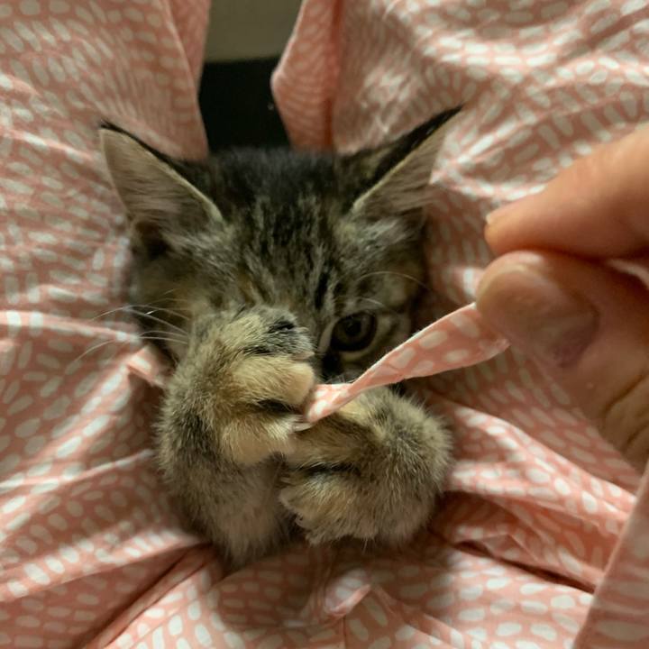 D2554d97 a2fb 4987 a23c be79088a2763 1592737527449