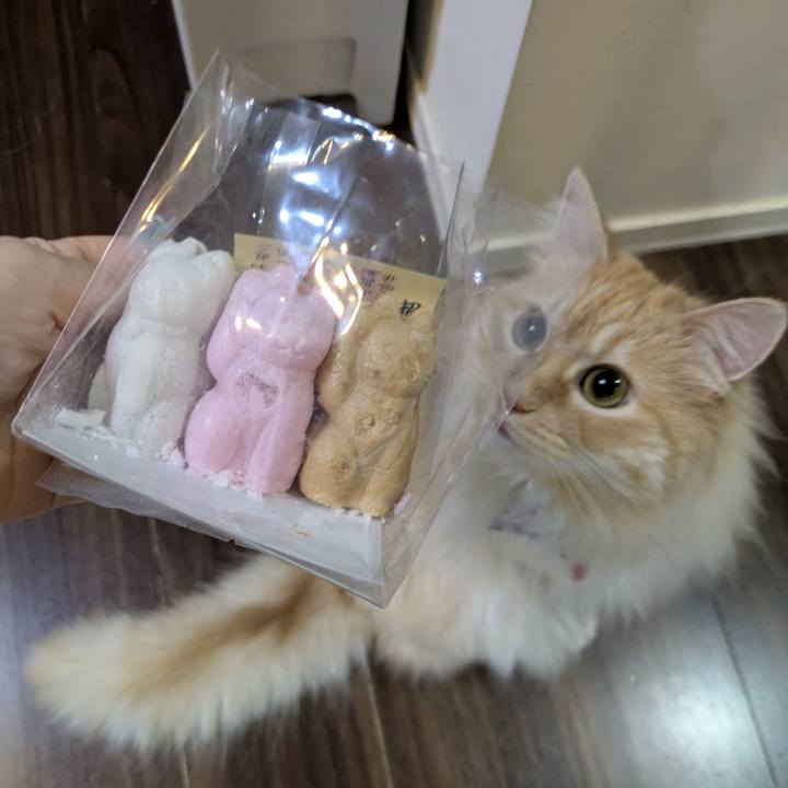 D2555388 2610 4874 a673 caa761d10b54 1751886419780