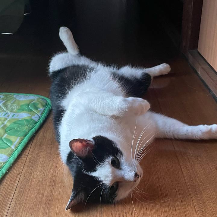 D25555d3 0ea3 4c8e b0ea 6d9feae1e13f 1689760078282