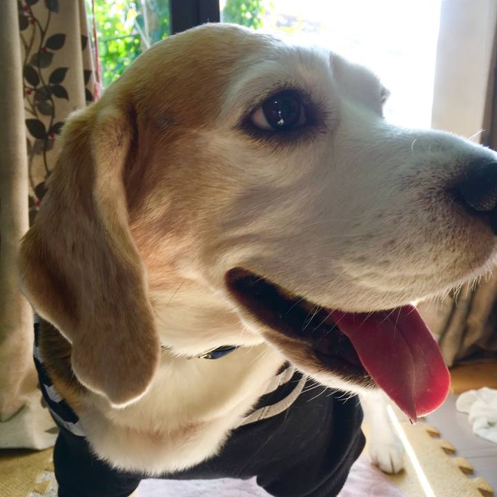 D255869f 4b3c 4ff2 933e 38d4340f7583 1576644706983