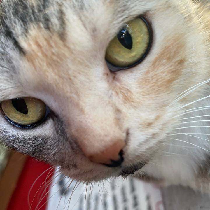 D2558e26 d374 4f62 a214 6a6c8ebbb249 1629801896662