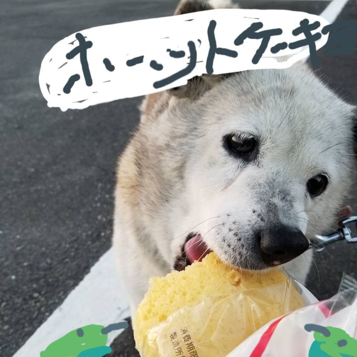 D255c168 e4f0 4bb8 95cc 0723e2ede714 1711058003011