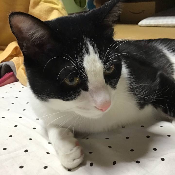 D2560421 25fb 4518 816e ac455e7d1eea 1651913118493