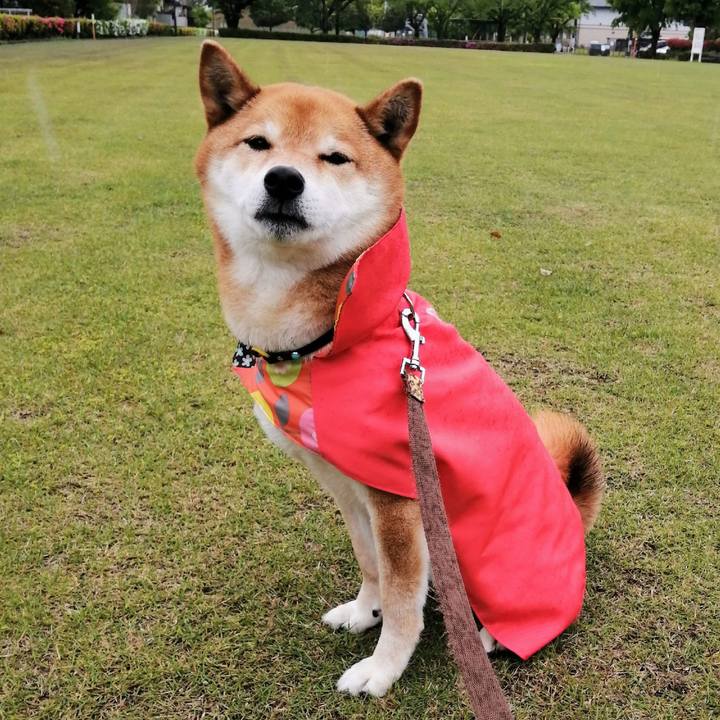 D2560448 e639 4eda 934c 8c88fe5e8626 1619655092486